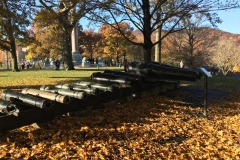 IMG_5477 - Copy (2)