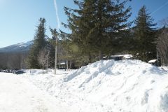 DSC06598