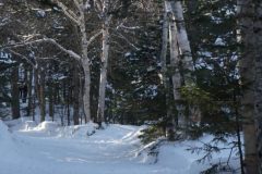DSC06670