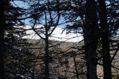 DSC06677