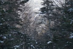 DSC06697