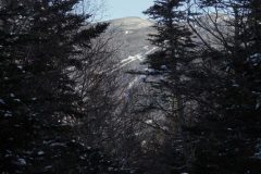 DSC06698