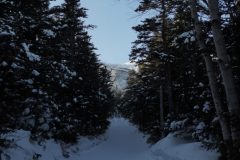 DSC06703