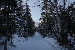 DSC06705