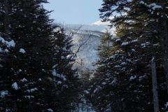 DSC06707