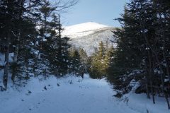 DSC06708