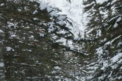 DSC06841