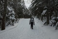 DSC06854