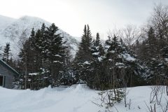 DSC06861
