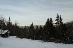 DSC06901