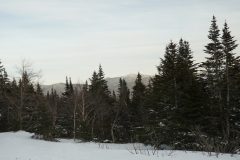 DSC06902