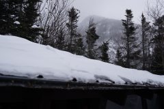 DSC06916