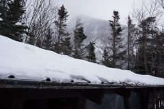 DSC06917