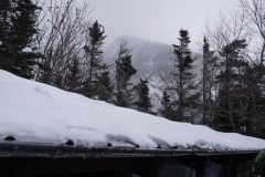 DSC06918