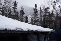 DSC06919