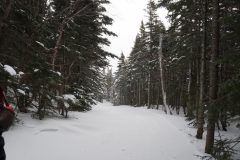 DSC06930