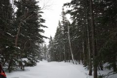 DSC06931