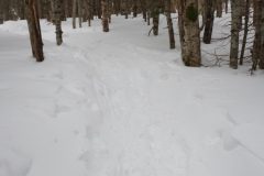 DSC06979