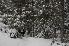 DSC06991