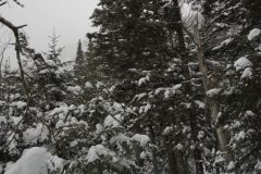 DSC06992