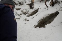 DSC07015