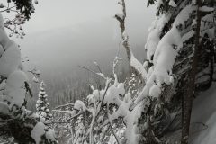 DSC07055