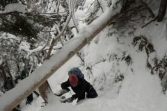 DSC07058