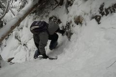 DSC07078