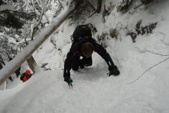DSC07094