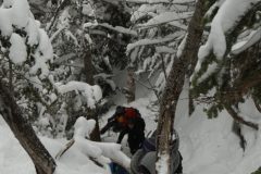 DSC07139