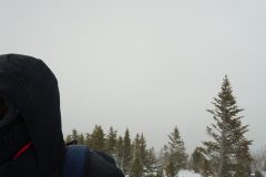 DSC07181