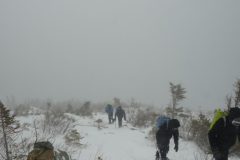 DSC07187