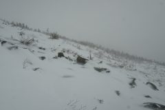 DSC07200