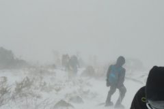 DSC07202