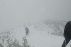 DSC07235