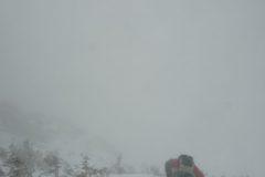 DSC07237